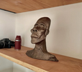 Head II - Sculpture - 'Classic Bronze'